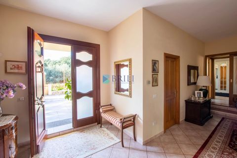 Villa i Luras, Sassari, Luras - € 420.000 | Ref: OT-118AT - foto 23