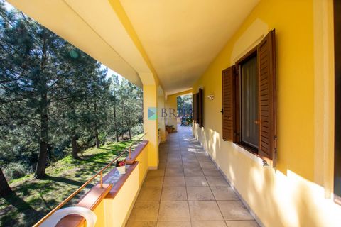 Villa i Luras, Sassari, Luras - € 420.000 | Ref: OT-118AT - foto 26