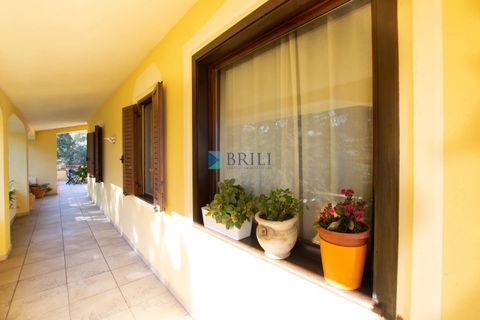 Villa i Luras, Sassari, Luras - € 420.000 | Ref: OT-118AT - foto 27