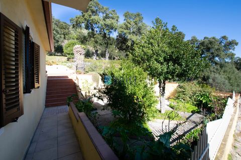 Villa i Luras, Sassari, Luras - € 420.000 | Ref: OT-118AT - foto 28