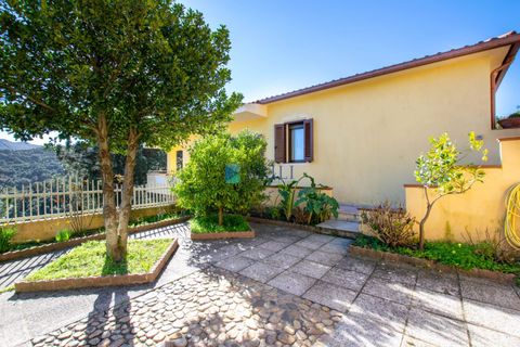 Villa i Luras, Sassari, Luras - € 420.000 | Ref: OT-118AT - foto 29