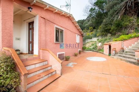 Villa i Luras, Sassari, Luras - € 420.000 | Ref: OT-118AT - foto 33