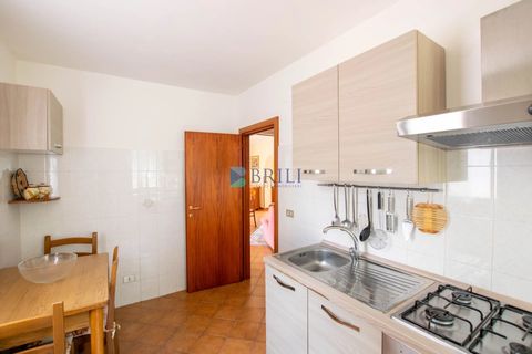Villa i Luras, Sassari, Luras - € 420.000 | Ref: OT-118AT - foto 35