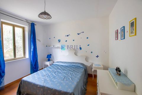 Villa i Luras, Sassari, Luras - € 420.000 | Ref: OT-118AT - foto 39