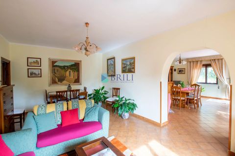 Villa i Luras, Sassari, Luras - € 420.000 | Ref: OT-118AT - foto 43