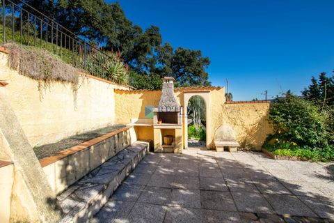 Villa i Luras, Sassari, Luras - € 420.000 | Ref: OT-118AT - foto 46