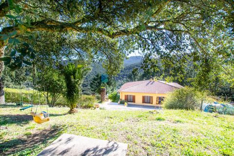 Villa i Luras, Sassari, Luras - € 420.000 | Ref: OT-118AT - foto 48