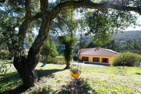 Villa i Luras, Sassari, Luras - € 420.000 | Ref: OT-118AT - foto 49