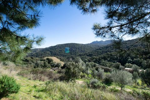 Villa i Luras, Sassari, Luras - € 420.000 | Ref: OT-118AT - foto 50