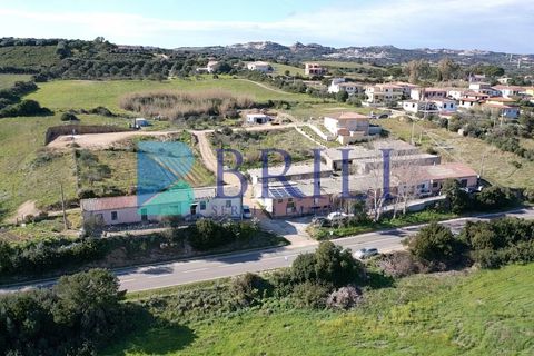 Terra a Luogosanto, Sassari, Luogosanto - € 25.000 | Ref: OT-129AT - foto 2