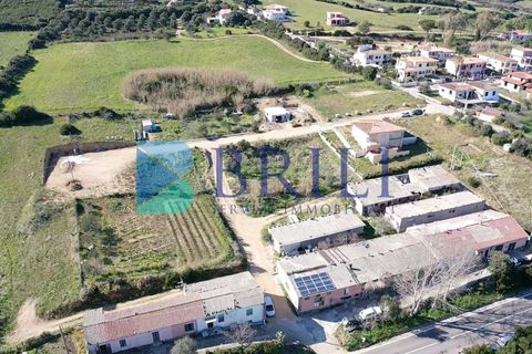 Terra a Luogosanto, Sassari, Luogosanto - € 25.000 | Ref: OT-129AT - foto 3