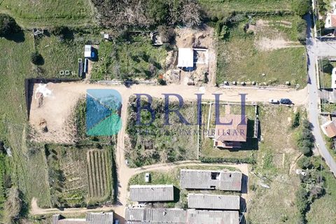 Terra a Luogosanto, Sassari, Luogosanto - € 25.000 | Ref: OT-129AT - foto 5