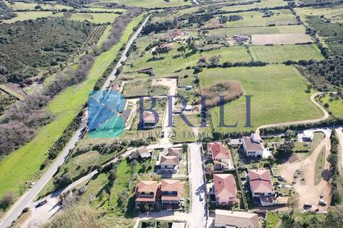 Terra a Luogosanto, Sassari, Luogosanto - € 25.000 | Ref: OT-129AT - foto 6