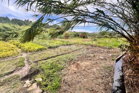 Villa i Abrantes, Santarem, Abrantes - € 19.900 | Ref: TM94310 - foto 14