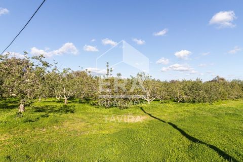 Helårsgrund i Moncarapacho, Faro, Moncarapacho - € 50.000 | Ref: 125230137 - foto 2