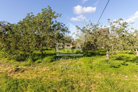 Helårsgrund i Moncarapacho, Faro, Moncarapacho - € 50.000 | Ref: 125230137 - foto 3