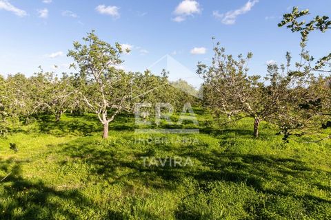 Helårsgrund i Moncarapacho, Faro, Moncarapacho - € 50.000 | Ref: 125230137 - foto 4