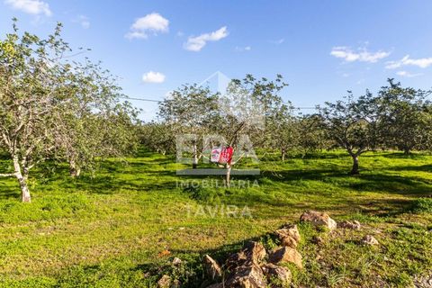 Helårsgrund i Moncarapacho, Faro, Moncarapacho - € 50.000 | Ref: 125230137 - foto 5