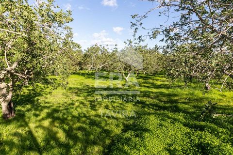 Helårsgrund i Moncarapacho, Faro, Moncarapacho - € 50.000 | Ref: 125230137 - foto 6