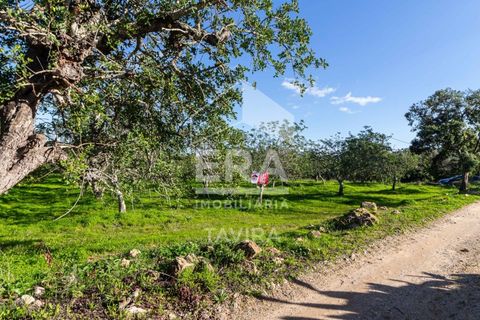 Helårsgrund i Moncarapacho, Faro, Moncarapacho - € 50.000 | Ref: 125230137 - foto 7