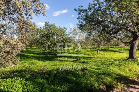 Helårsgrund i Moncarapacho, Faro, Moncarapacho - € 50.000 | Ref: 125230137 - foto 8