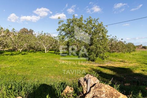Helårsgrund i Moncarapacho, Faro, Moncarapacho - € 50.000 | Ref: 125230137 - foto 10