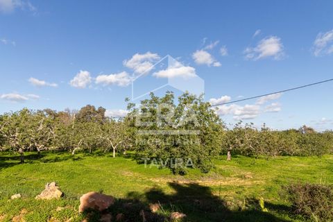 Helårsgrund i Moncarapacho, Faro, Moncarapacho - € 50.000 | Ref: 125230137 - foto 11
