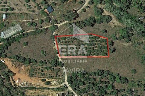 Helårsgrund i Moncarapacho, Faro, Moncarapacho - € 50.000 | Ref: 125230137 - foto 12