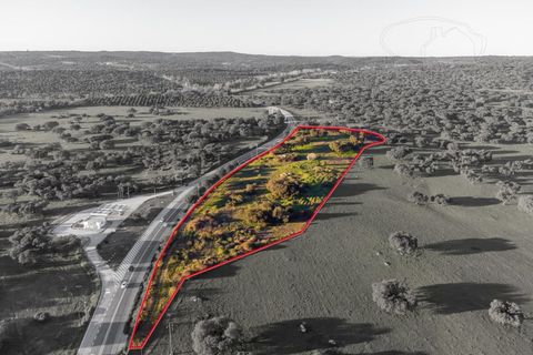 Farm i Evora, Evora, Evora - € 250.000 | Ref: 2401 - foto 1