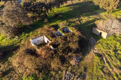 Farm i Evora, Evora, Evora - € 250.000 | Ref: 2401 - foto 2