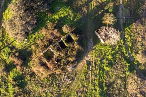 Farm i Evora, Evora, Evora - € 250.000 | Ref: 2401 - foto 3