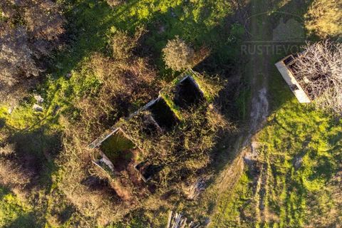 Farm i Evora, Evora, Evora - € 250.000 | Ref: 2401 - foto 7
