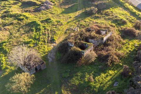 Farm i Evora, Evora, Evora - € 250.000 | Ref: 2401 - foto 8