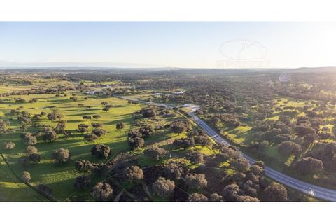 Farm i Evora, Evora, Evora - € 250.000 | Ref: 2401 - foto 9