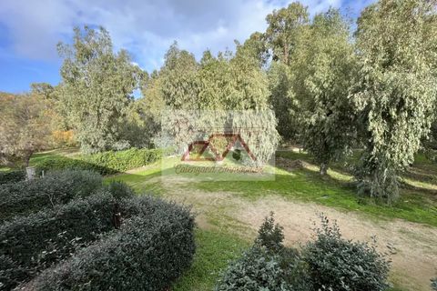 Lejlighed i Calvi, Haute-Corse, Calvi - € 120.000 | Ref: 83882691 - foto 1