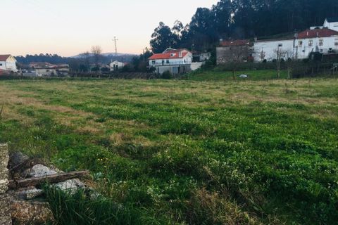 Helårsgrund i Barcelos, Braga, Barcelos - € 52.000 | Ref: 257 - foto 5