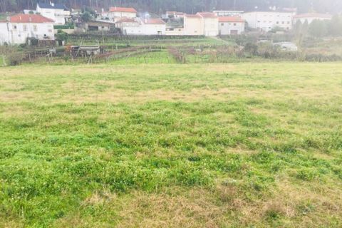 Helårsgrund i Barcelos, Braga, Barcelos - € 52.000 | Ref: 257 - foto 6