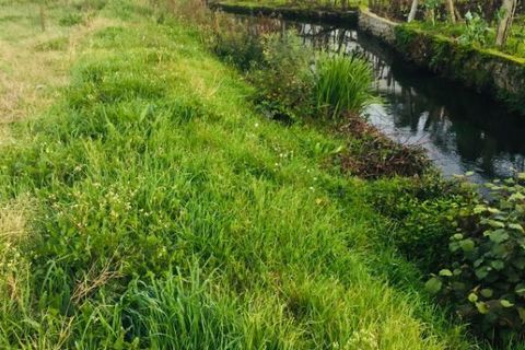 Helårsgrund i Barcelos, Braga, Barcelos - € 52.000 | Ref: 257 - foto 7