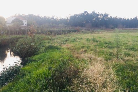 Helårsgrund i Barcelos, Braga, Barcelos - € 52.000 | Ref: 257 - foto 9