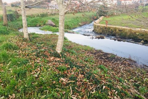 Helårsgrund i Barcelos, Braga, Barcelos - € 52.000 | Ref: 257 - foto 11