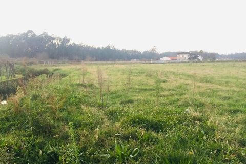 Helårsgrund i Barcelos, Braga, Barcelos - € 52.000 | Ref: 257 - foto 12