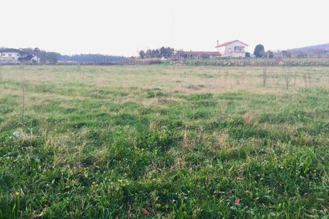 Helårsgrund i Barcelos, Braga, Barcelos - € 52.000 | Ref: 257 - foto 13