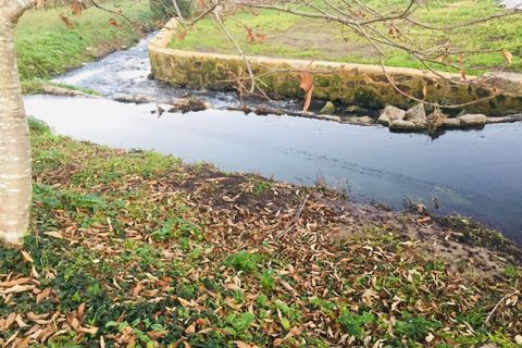 Helårsgrund i Barcelos, Braga, Barcelos - € 52.000 | Ref: 257 - foto 14