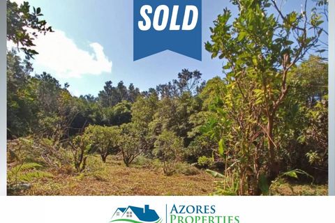 Landejendom i Horta, Faial, Horta - € 35.000 | Ref: 33887 - foto 2