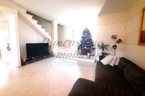 Villa a Montescudaio, Pisa, Montescudaio - € 630.000 | Ref: C854 - foto 3