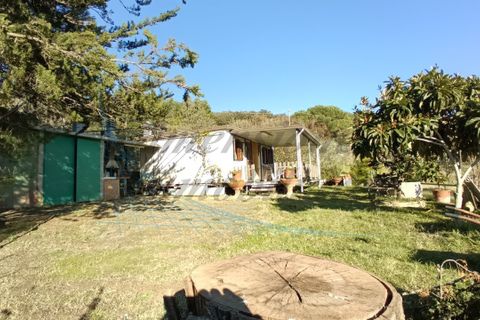 Villa a Rosignano Marittimo, Livorno, Rosignano Marittimo - € 86.000 | Ref: C856 - foto 5