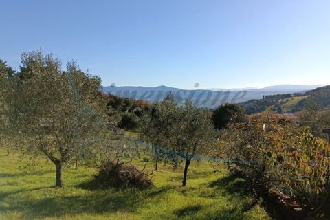 Villa a Rosignano Marittimo, Livorno, Rosignano Marittimo - € 86.000 | Ref: C856 - foto 6