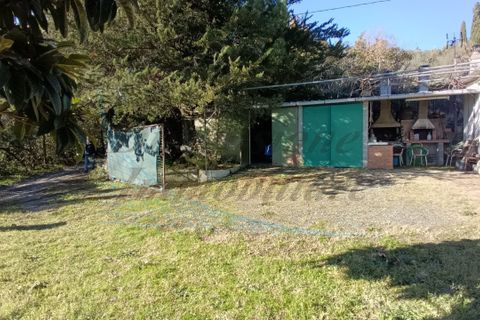 Villa a Rosignano Marittimo, Livorno, Rosignano Marittimo - € 86.000 | Ref: C856 - foto 7