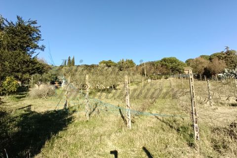 Villa a Rosignano Marittimo, Livorno, Rosignano Marittimo - € 86.000 | Ref: C856 - foto 12
