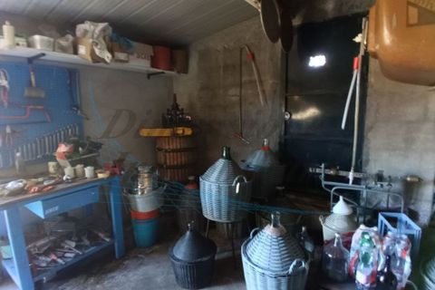 Villa a Rosignano Marittimo, Livorno, Rosignano Marittimo - € 86.000 | Ref: C856 - foto 15